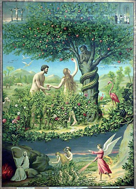 The Garden of Eden Curse and the Origins of Sin